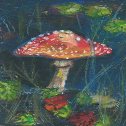 mushroom art Roblox decal