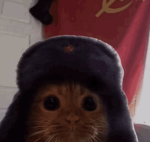 BACON_J_J
