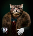 cat cat cat cat king