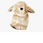 ~Bunnies!!!!~