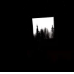 tree watcher :oooo spooky ghost: