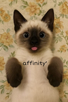 affinity'