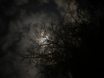 Darklung