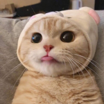 룽시팸