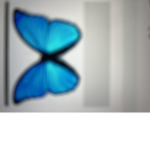Butterfly squad giveraways