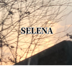 비소나리:Selena(셀레나)