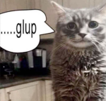 Gatø
