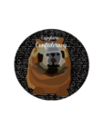 Capybara Confederacy