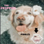 The Pr3ppies