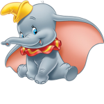 Livy the dumbo!