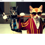 ol Cats