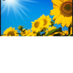 sunshineeeeeee