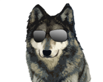 The Wolven Footsoldiers Spy Division