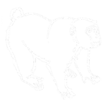 FLYING_MONKEY
