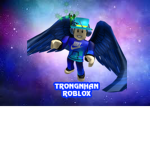 VIỆT NAM ROBLOX GROUP