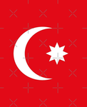 Wilayat al-Ḥijāz