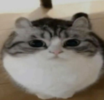 mituro