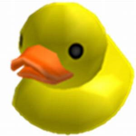ducks military