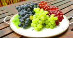 grape kingdom