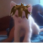 cat boyz
