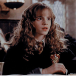 harry potter vibes