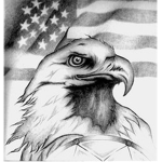 Air Force of the U.N.