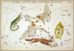 Cygnus Union
