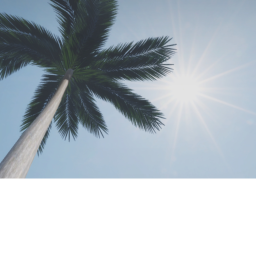 Realistic Beach Showcase