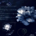 Blue group<3 UGC