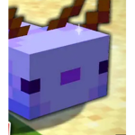 Bruh doge head