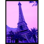 I francesi viola