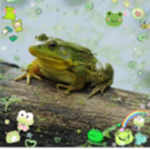 Baby frog squad