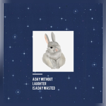 Bunny Fans Bunny’s Best
