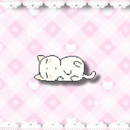 (ฅ'ω'ฅ)