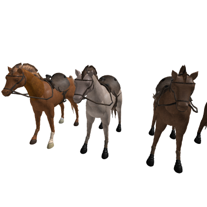 Horses