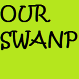 Our swamp