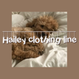 Hailey Homestore v2