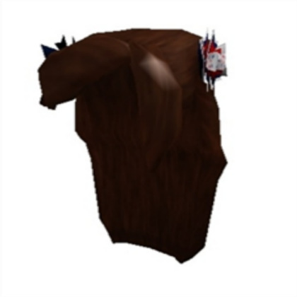 Girl Hair Roblox decal