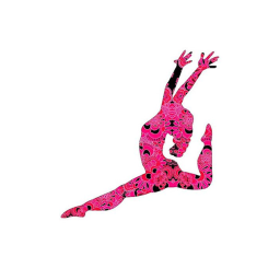 Flower Power Gymnastics Group Gym