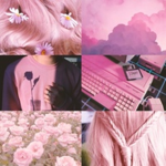 Pink turtle