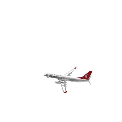 [LEAKED] Turkish Airlines 737-800