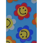 casseidy
