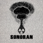Sonoran Development Center