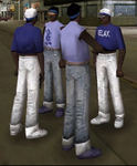 Haitian Street Gang [HSG]