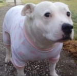 PDM EXPERIENCES