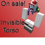 THE INVISIBLE TORSO