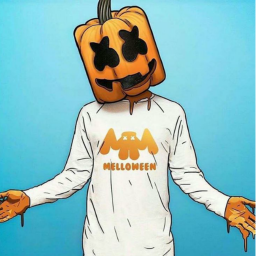 Marshmello Concert