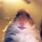 PET SATIYOM