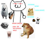 LE MEMES GROUP