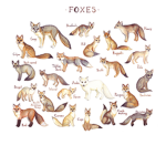 Foxes RULE